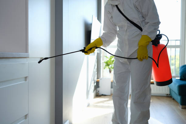 Mold Removal and Inspection in Southwest Ranches, FL